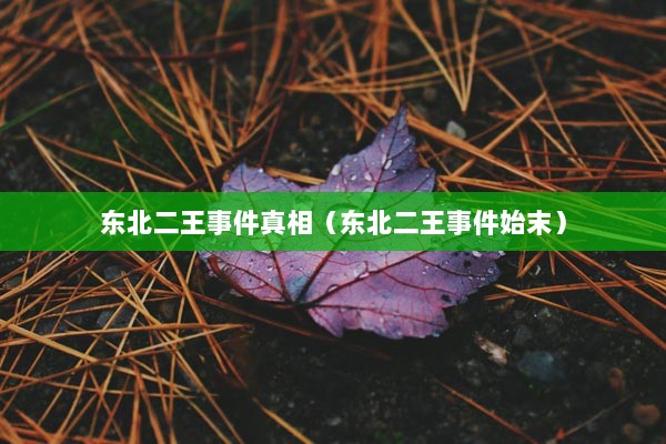 东北二王事件真相（东北二王事件始末）