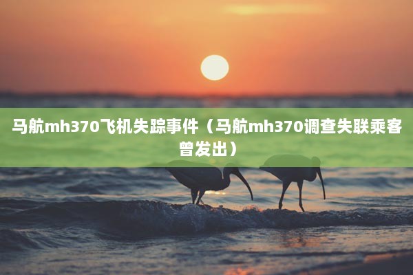 马航mh370飞机失踪事件（马航mh370调查失联乘客曾发出）