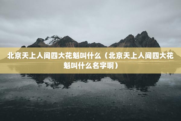 北京天上人间四大花魁叫什么（北京天上人间四大花魁叫什么名字啊）