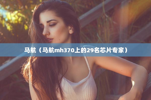 马航（马航mh370上的29名芯片专家）