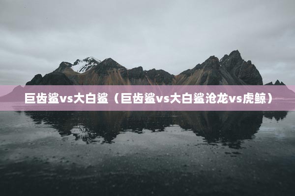 巨齿鲨vs大白鲨（巨齿鲨vs大白鲨沧龙vs虎鲸）