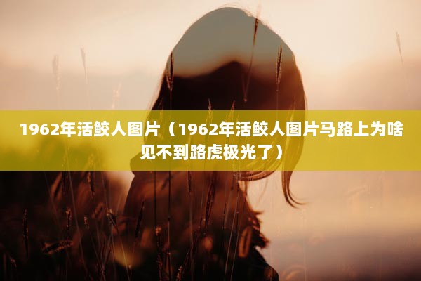 1962年活鲛人图片（1962年活鲛人图片马路上为啥见不到路虎极光了）