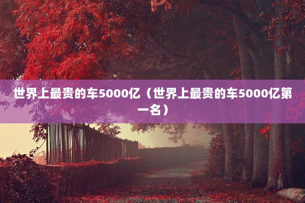 世界上最贵的车5000亿（世界上最贵的车5000亿第一名）