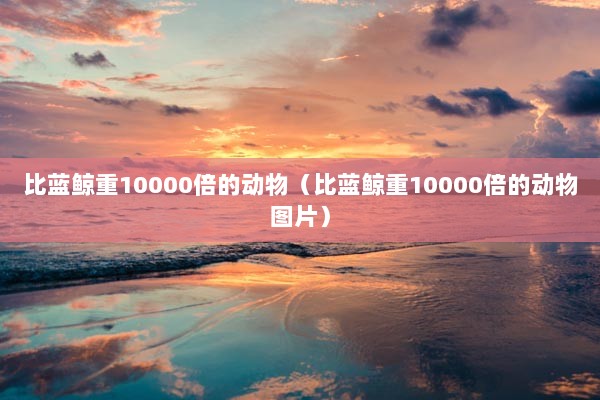 比蓝鲸重10000倍的动物（比蓝鲸重10000倍的动物图片）