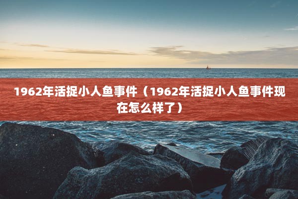 1962年活捉小人鱼事件（1962年活捉小人鱼事件现在怎么样了）