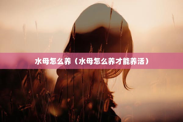 水母怎么养（水母怎么养才能养活）