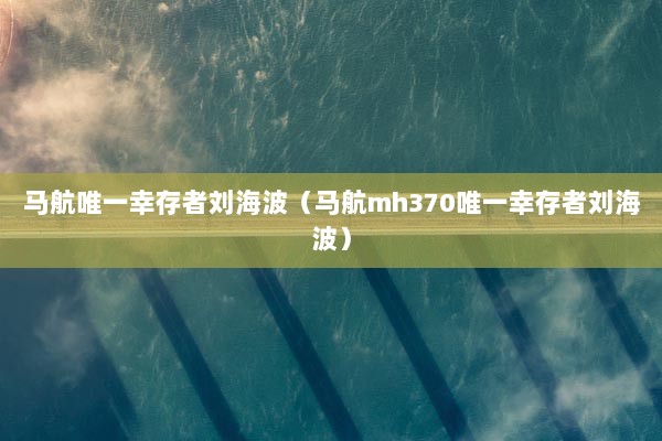 马航唯一幸存者刘海波（马航mh370唯一幸存者刘海波）