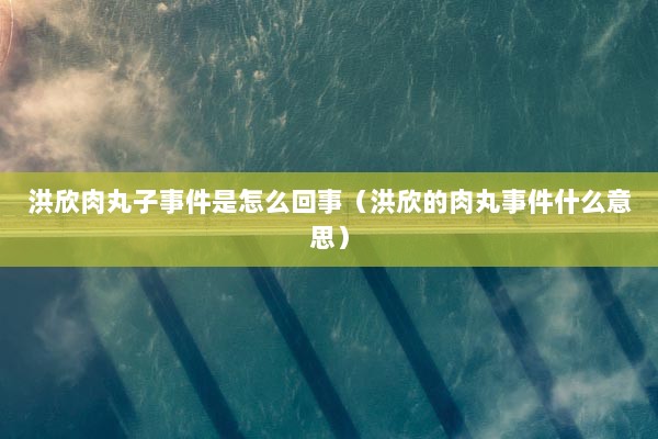 洪欣肉丸子事件是怎么回事（洪欣的肉丸事件什么意思）