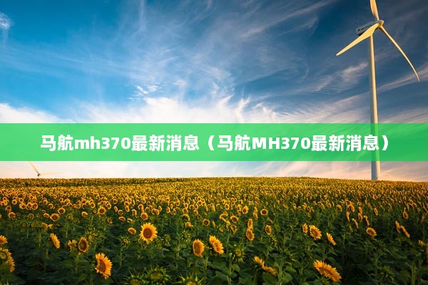 马航mh370最新消息（马航MH370最新消息）