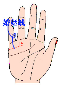 手相,超准的! - 无法无天 - 只求快乐