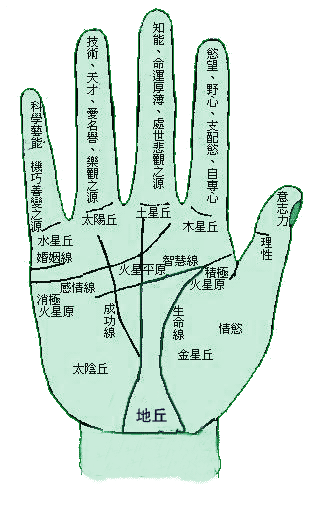 认识手相