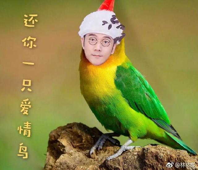 谁能教教李宇春比心吗？林依轮杨紫忘年交？三石弟和三石哥的区别