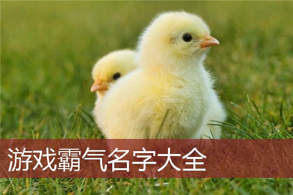 游戏霸气名字大全 游戏名称大全霸气