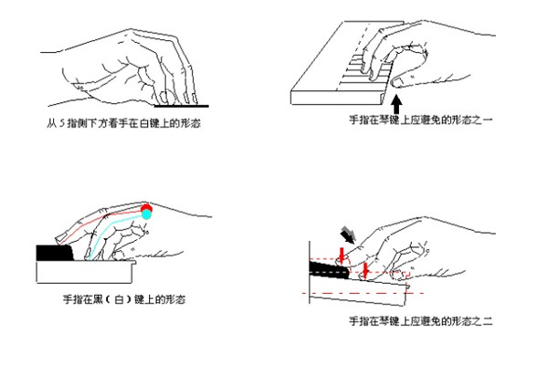 弹钢琴的正确手型图片