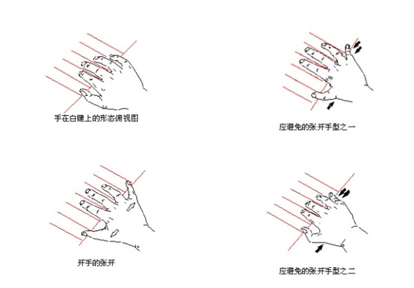 弹钢琴的正确手型图片