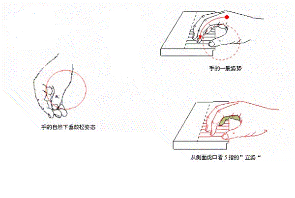 弹钢琴的正确手型图片