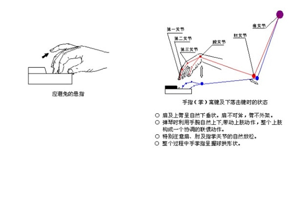 弹钢琴的正确手型图片