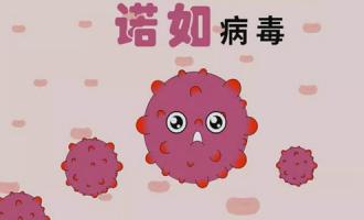 诺如病毒症状可自愈吗？预防和治疗诺如病毒必知常识