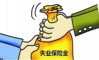大家千万不要领失业金2020，领失业补助金的条件
