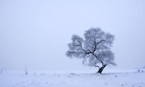 关于雪的优美诗句