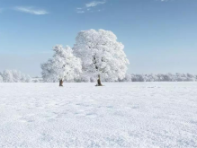 关于雪的诗句有哪些？描写雪的诗句古诗大全100首