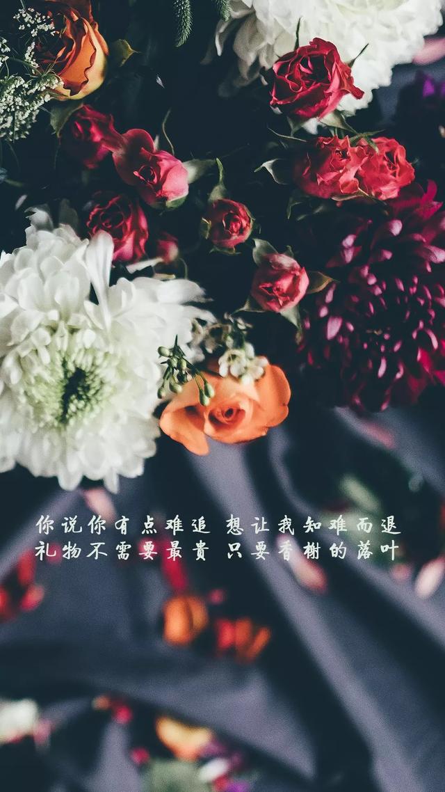 简短句子——小清新，治愈系，正能量