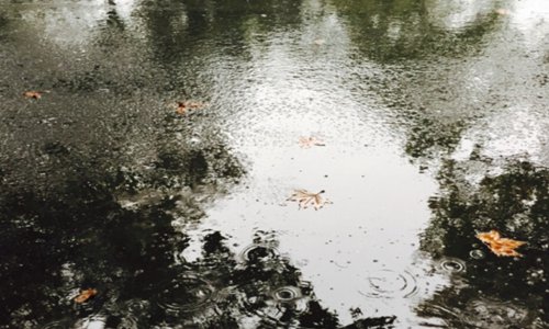 雨天正能量的句子