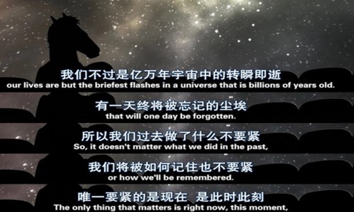 珍惜彼此感情的句子