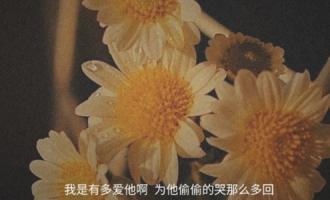 无法诉说的委屈的句子，多少委屈憋屈在心里！