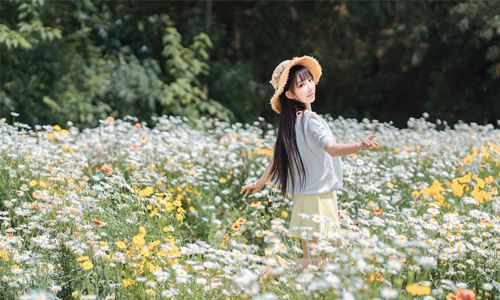 女人心态阳光的句子