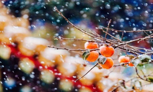 下雪的唯美短句