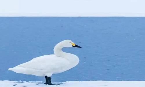 雪景发朋友圈配一句话