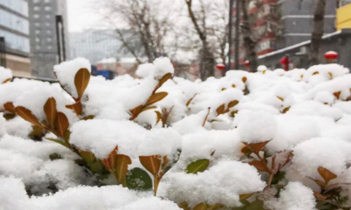 雪景句子唯美简短