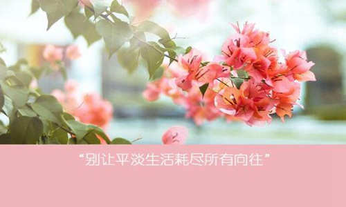 形容春暖花开的优美句子