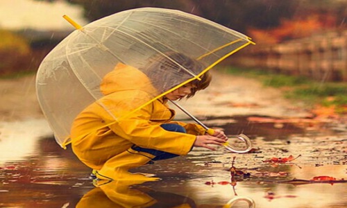 适合雨天发的简短句子 