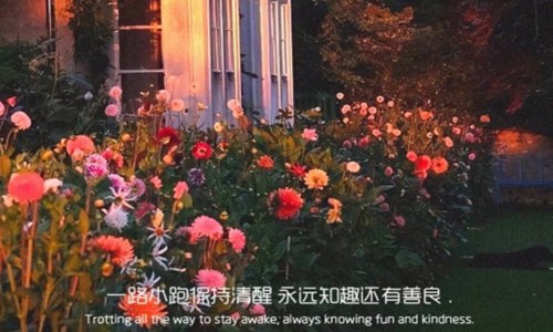 简单生活心态的句子 