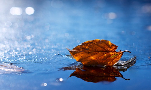 适合下雨天发的朋友圈，吸引人点赞的心情句子