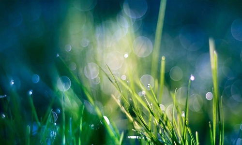下雨天的说说 朋友圈，简短的心情短语句子
