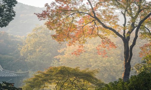 秋天文案短句干净治愈 