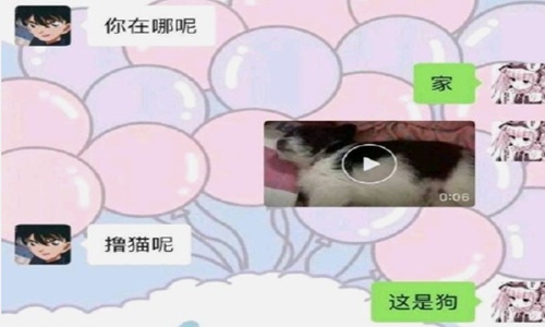 极限敷衍聊天是什么意思