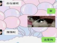 极限敷衍聊天是什么意思？表达被人敷衍的伤感句子