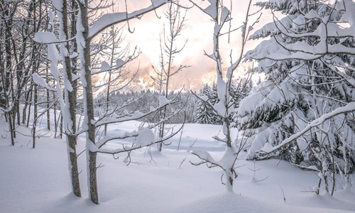下雪感悟句子