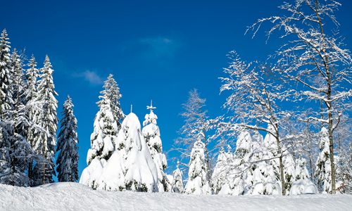 下雪心情说说