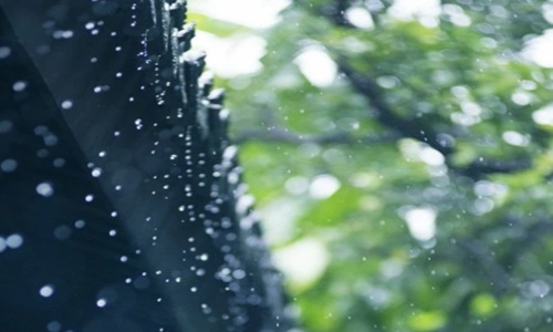 一句雨天暖心经典话语