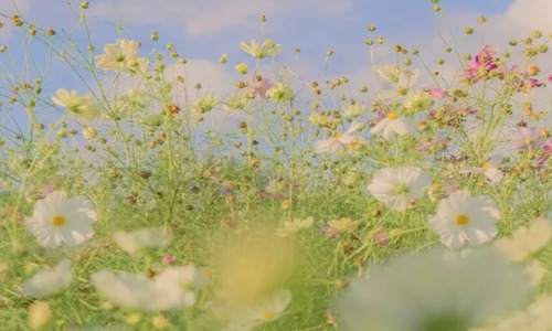 让人疯狂点赞的霸气说说 