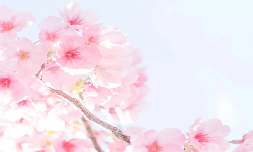 适合发朋友圈正能量短句