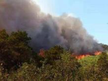 佛山凌云山发生山火 持续超24小时难以控制