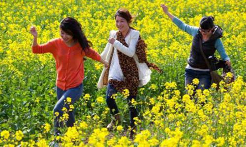 清明节是几月几日