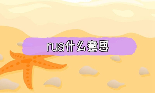 rua是什么意思