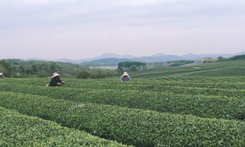 清明节2021年几月几号